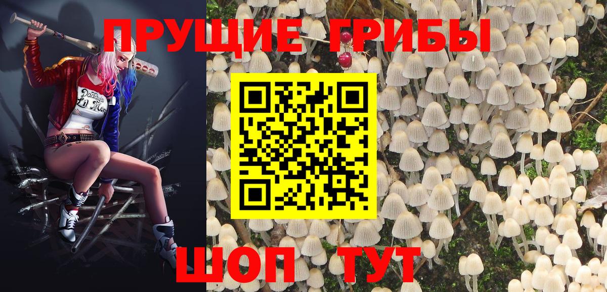 закладка  Вход с VPN  Кызыл  Галлюциногенные грибы Cubensis 